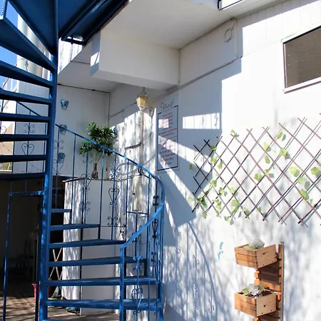 Mavi & Restaurant Hotel 2*
