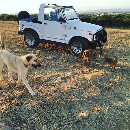 Mavi & Restaurant 2*